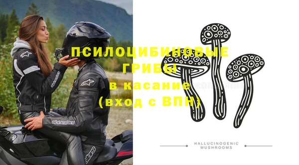 не бодяженный Алексин