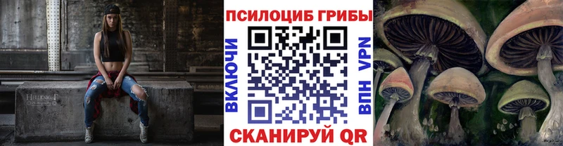 Псилоцибиновые грибы GOLDEN TEACHER  Бакал 