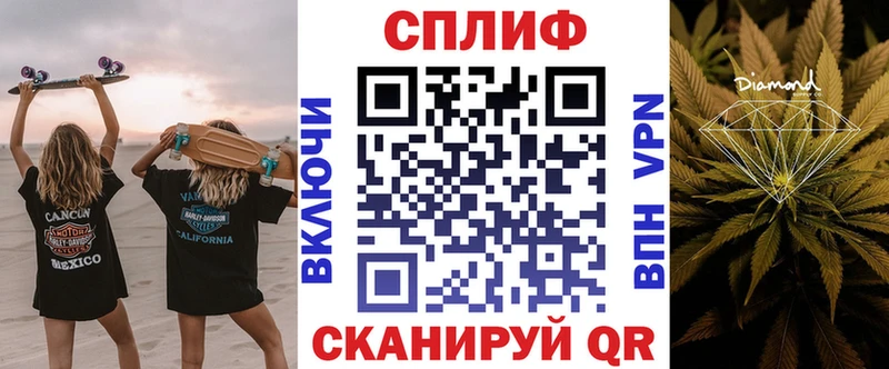 Марихуана план  Бакал 